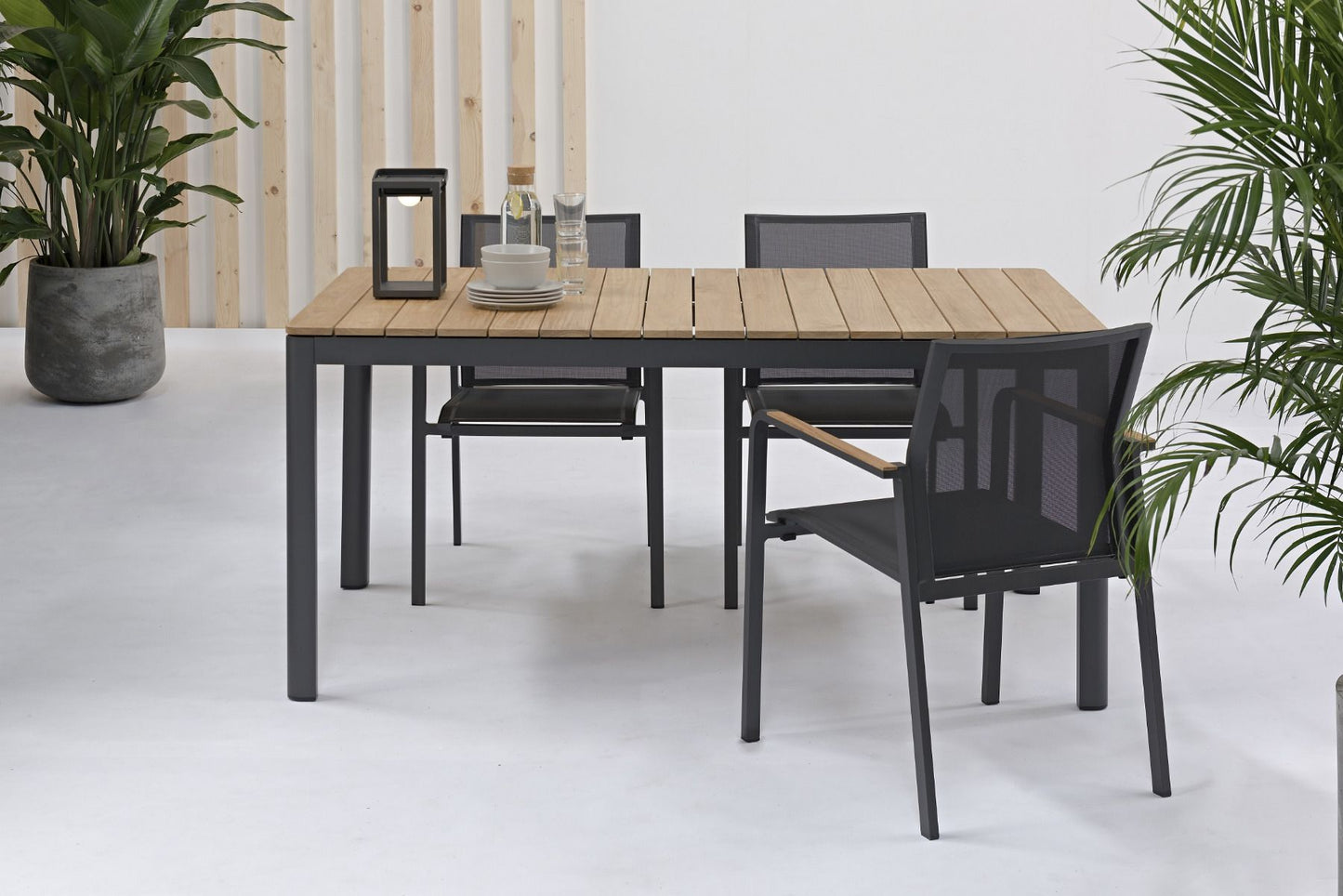 Zebra Stapelstoel Bee Carbon Gray